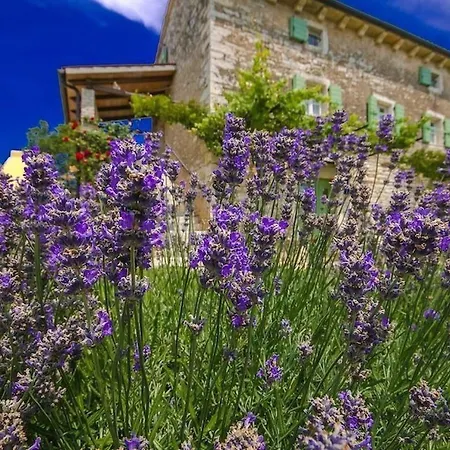 Rustic Casa Mazuli With Pool In *