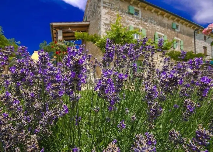 Rustic Casa Mazuli With Pool In *